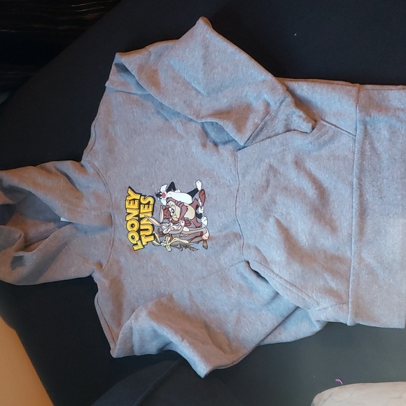 NWT Unisex Looney Tunes Sweatshirt Hoodie Thick Hoodie - Picture 6 of 9